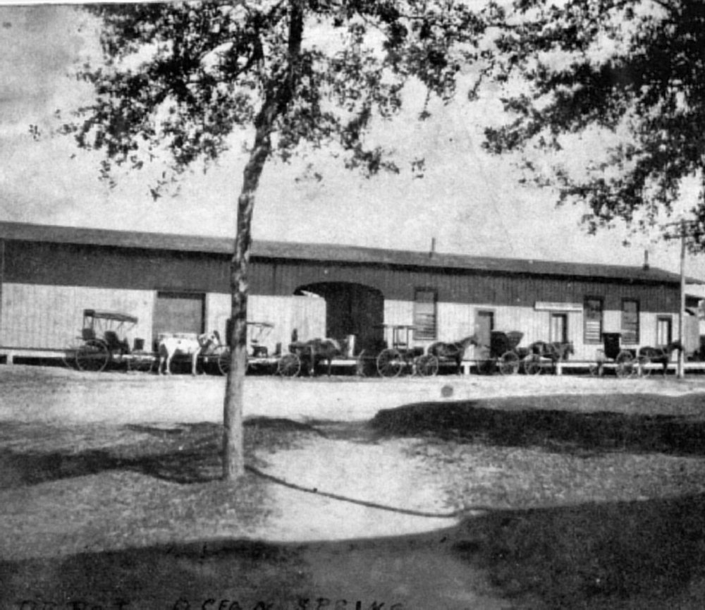 Ellzey's - Biloxi - Est. 1914
